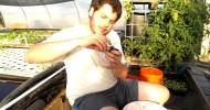 Transplant seedlings in Aquaponics using Biochar!