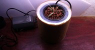 Very small Hydroponic system, Home made, for $10