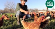 Vital Farms – Austin, TX | Growing Communities | Whole Foods Market