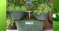 Aquaponics Florida