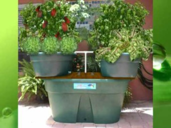 Aquaponics Florida