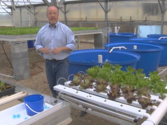 Greenhouse Aquaponics – From the Ground Up